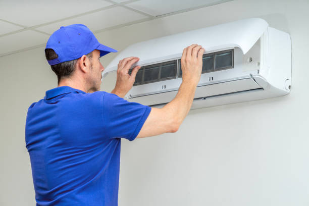 Best Home Air Vent Cleaning  in Tsaile, AZ