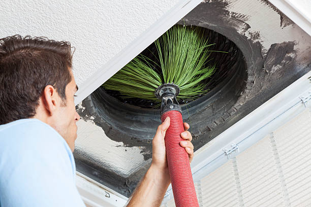 Best Air Duct Cleaning Near Me  in Tsaile, AZ